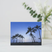 Zonnebak op Kahaluu Bay in Kona, Hawaii Briefkaart (Staand voorkant)