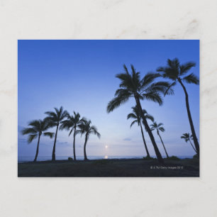 Zonnebak op Kahaluu Bay in Kona, Hawaii Briefkaart