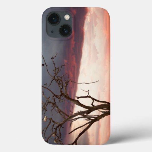 Zonnebak op Kandheri-moeras met Afrikaanse spoonre Case-Mate iPhone Case (Achterkant)
