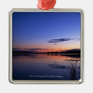 Zonnebakken boven het Wabamun-meer met gras Metalen Ornament