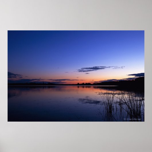 Zonnebakken boven het Wabamun-meer met gras Poster (Voorkant)