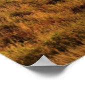 Zonnebakken, Zeeen, zussen, oregonkusten Poster (Hoek)