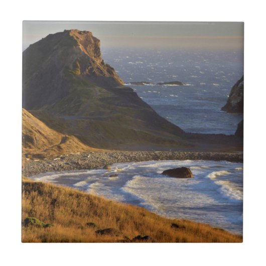 Zonnebakken, Zeeen, zussen, oregonkusten Tegeltje (Voorkant)