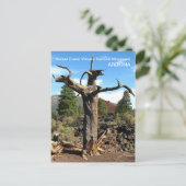 Zonnebakkerij vulcano Briefkaart! Briefkaart (Staand voorkant)