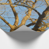 Zonnebakpapier Cadeaupapier (Hoek)