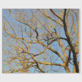 Zonnebakpapier Cadeaupapier (Vlak)