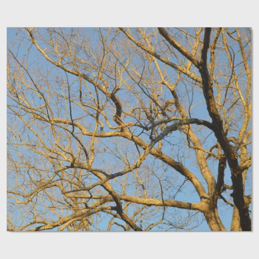 Zonnebakpapier Cadeaupapier (Vlak)