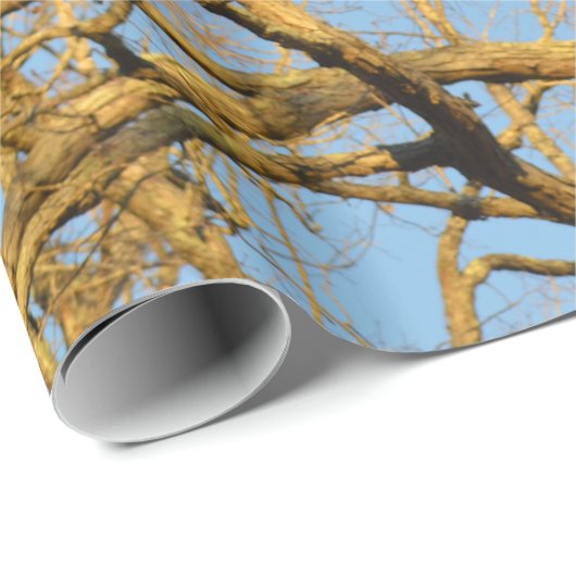 Zonnebakpapier Cadeaupapier (Rol Hoek)