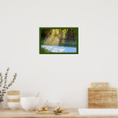 Zonnebalken door de bomen poster (Keuken)