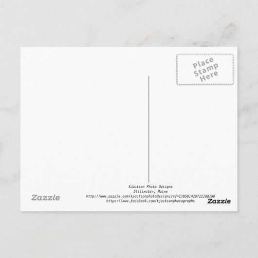 Zonnebalken en dagdromen briefkaart (Achterkant)