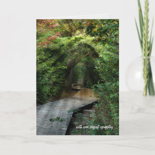 Zonnebalken in Bossen Sympathie Kaart