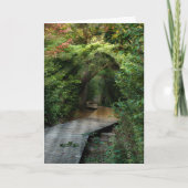 Zonnebalken in Bossen Sympathie Kaart (Voorkant)