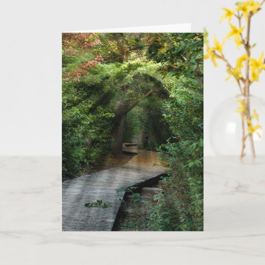 Zonnebalken in Bossen Sympathie Kaart (Gele Bloem)