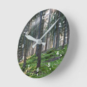 Zonnebalken in het Zwarte Woud Ronde Klok (Hoek)