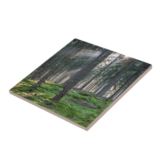 Zonnebalken in het Zwarte Woud Tegeltje (Zijkant)