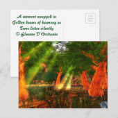 Zonnebalken van Briefkaart van de harmonische poëz (Voorkant / Achterkant)