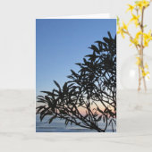 zonnebank kaart (Gele Bloem)