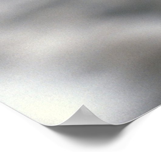 Zonnebeelden in zonnebrillen in Gambia Poster (Hoek)