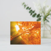 Zonnebestrijding Briefkaart (Staand voorkant)