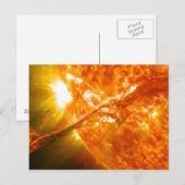 Zonnebestrijding Briefkaart (Voorkant / Achterkant)