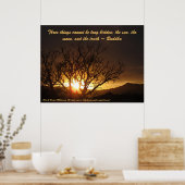 Zonnebestrijding poster (Keuken)