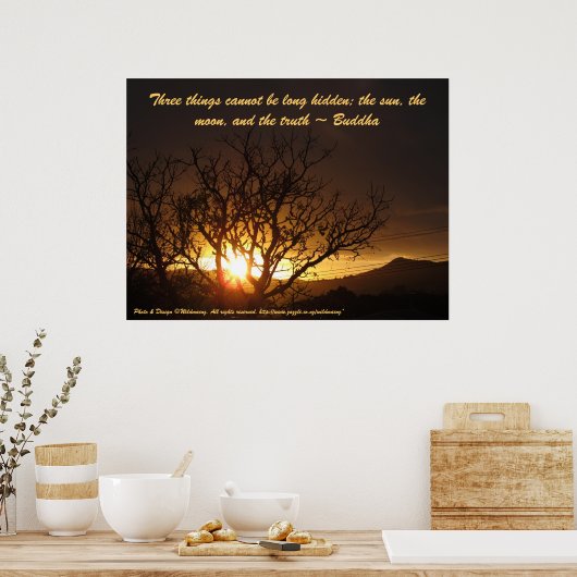 Zonnebestrijding poster (Keuken)