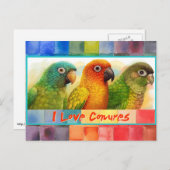 Zonneblauwe, groene kauwkuipen briefkaart (Voorkant / Achterkant)