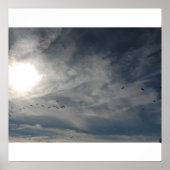 zonnebleken poster (Voorkant)