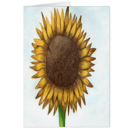 zonnebloem (Voorkant)