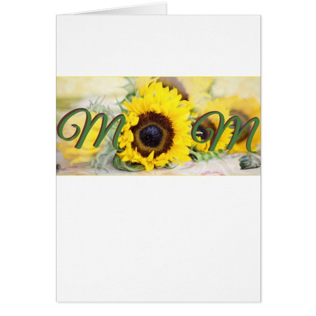 Zonnebloem (Voorkant)