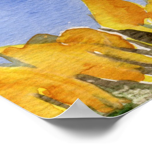 Zonnebloem 01 Waterverf schilderijen Kunstafdrukke Poster (Hoek)