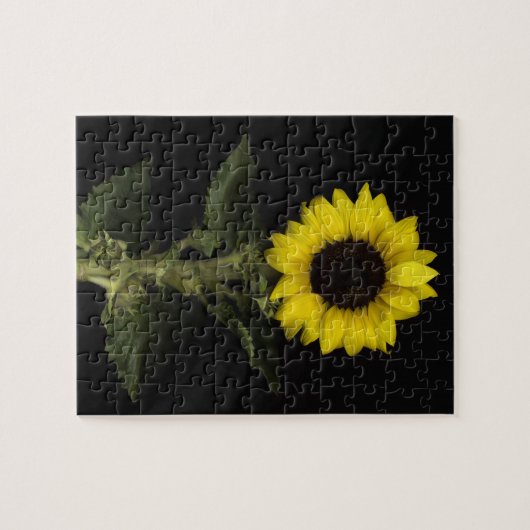 Zonnebloem 11 legpuzzel (Horizontaal)