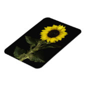 Zonnebloem 11 magneet (Linkerzijde)