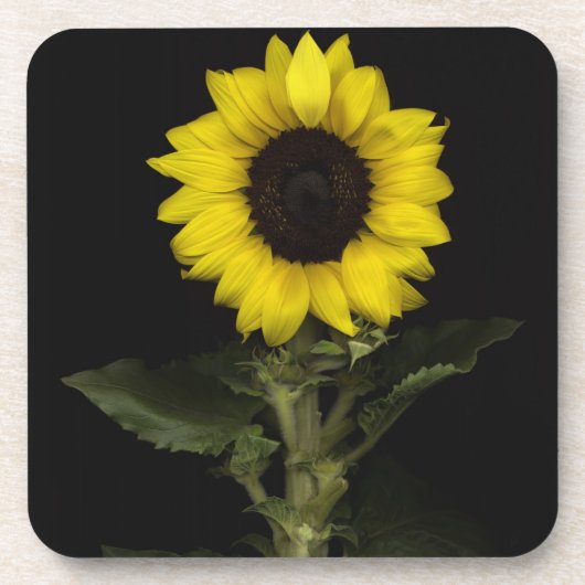 Zonnebloem 11 onderzetter (Voorkant)