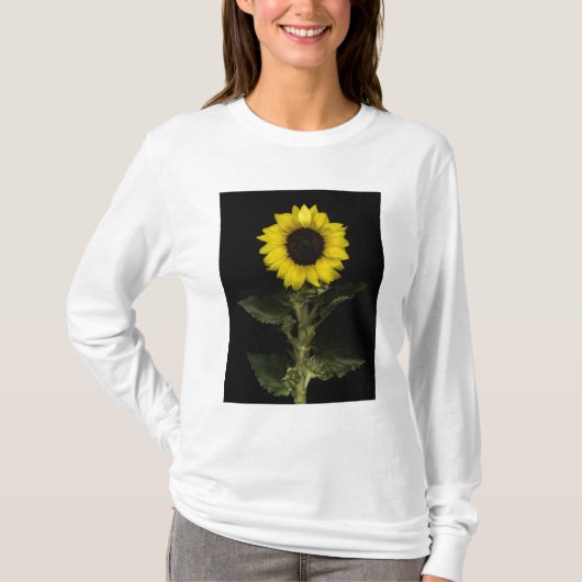 Zonnebloem 11 t-shirt (Voorkant)