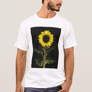 Zonnebloem 11 t-shirt