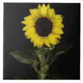 Zonnebloem 11 tegeltje (Voorkant)