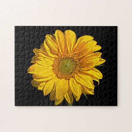 Zonnebloem 11x14 252pc jpa legpuzzel (Horizontaal)