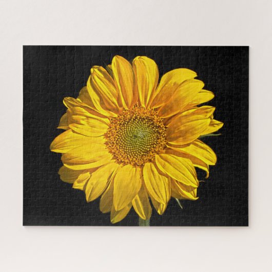 Zonnebloem 16x20 520pc jpcna legpuzzel (Horizontaal)
