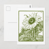 Zonnebloem (1919)  Woodcut door Julie de Graag Briefkaart (Voorkant / Achterkant)