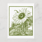 Zonnebloem (1919)  Woodcut door Julie de Graag Briefkaart (Voorkant)