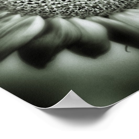 Zonnebloem 1 Square Poster Print (Hoek)