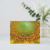 Zonnebloem 2 briefkaart (Staand voorkant)