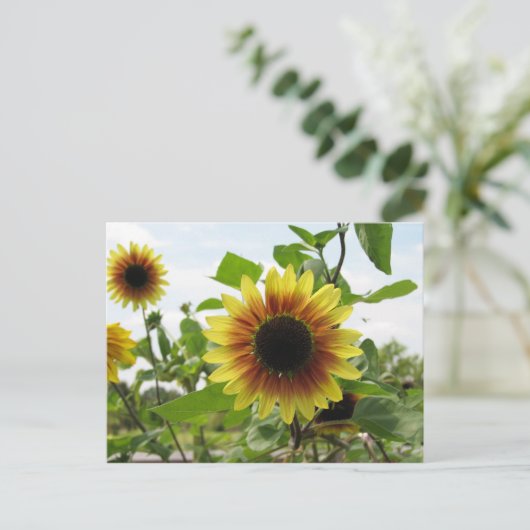 zonnebloem 2 briefkaart (Staand voorkant)