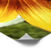 Zonnebloem 3 poster (Hoek)