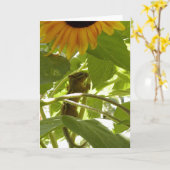 Zonnebloem & Aardeekhoorn Kaart (Gele Bloem)