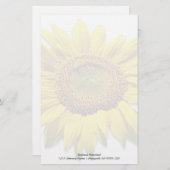 Zonnebloem Achtergrond Blanco Aangepast Notitiepap Briefpapier (Voorkant / Achterkant)