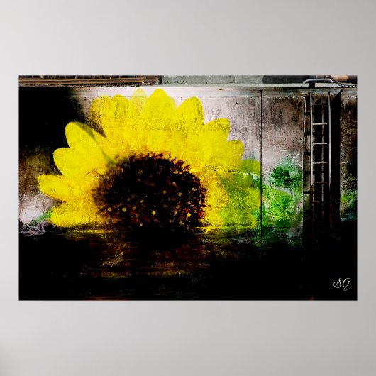 Zonnebloem Afbeelding afdrukken Poster (Voorkant)