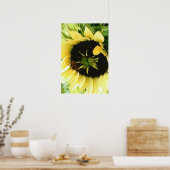 Zonnebloem Afbeelding Poster (Keuken)