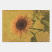 Zonnebloem  Antiek Geel Groen Textuur Inpakpapier Vel (Voorkant 2)